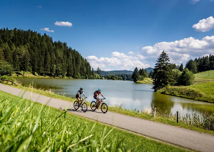 Kreischberg Pool Villas&Penthouses by ALPS RESORTS